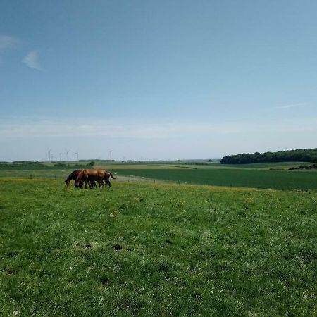 Hotel Jad Ranch Raucourt-et-Flaba Zewnętrze zdjęcie