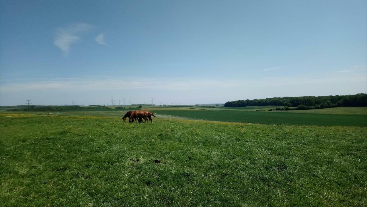 Hotel Jad Ranch Raucourt-et-Flaba Zewnętrze zdjęcie