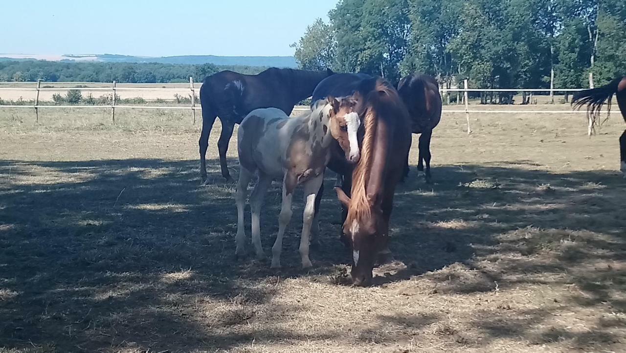 Hotel Jad Ranch Raucourt-et-Flaba Zewnętrze zdjęcie